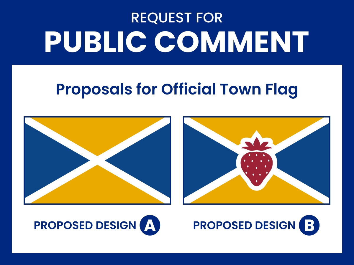 Request for Public Comment Town Flag